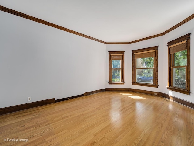 empty room featuring crown molding and light hardwood / wood-style flooring