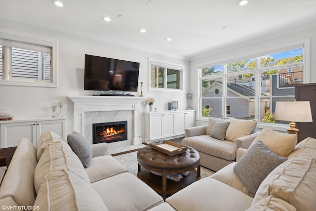 living room with crown molding and a fireplace