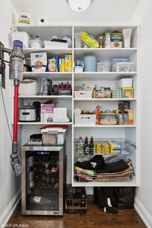 pantry with wine cooler