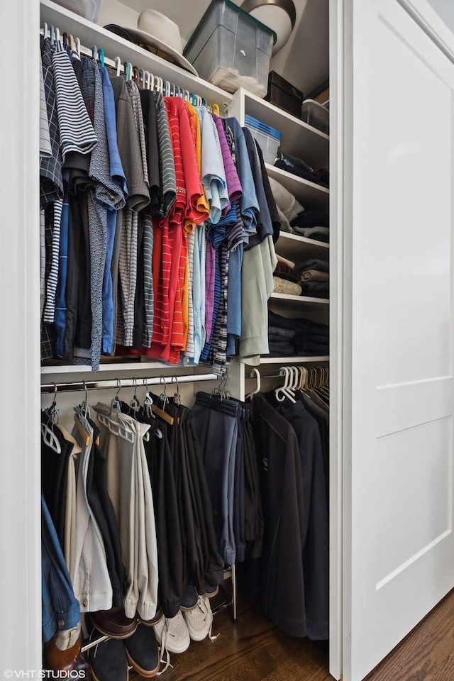 spacious closet with wood-type flooring