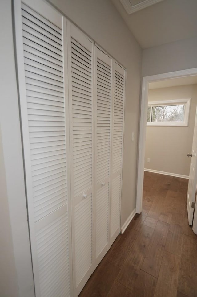 corridor featuring dark wood-type flooring