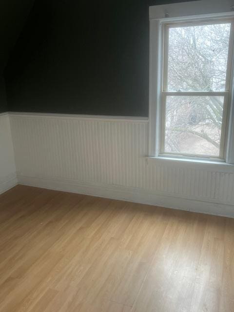 empty room featuring light wood-type flooring and a wealth of natural light