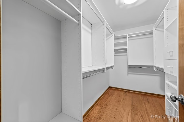 walk in closet featuring light wood-type flooring