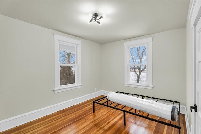 sitting room with wood-type flooring