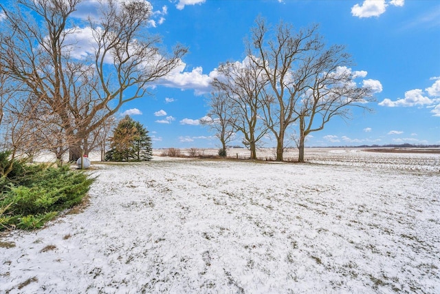 view of yard layered in snow