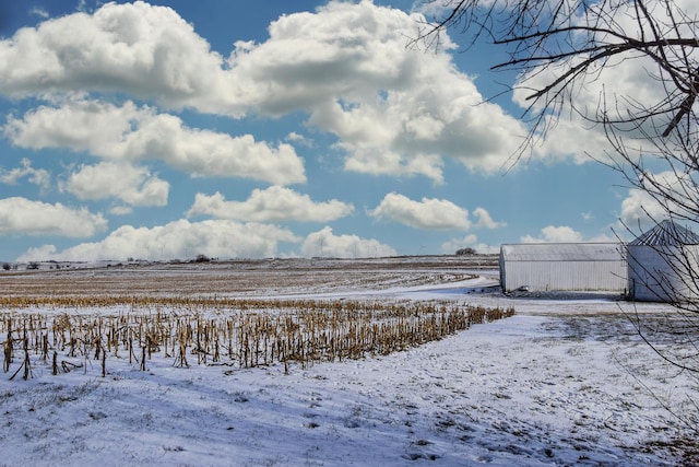 yard layered in snow with a rural view