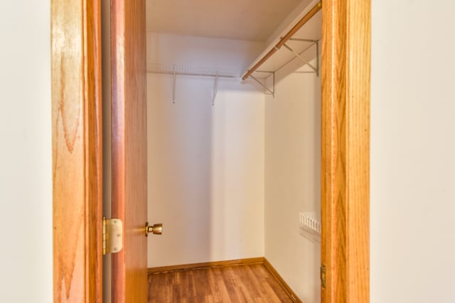 spacious closet with wood-type flooring