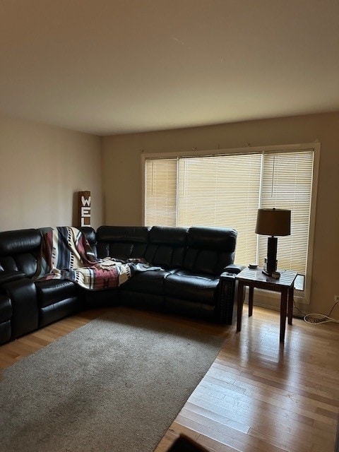 living room with hardwood / wood-style flooring