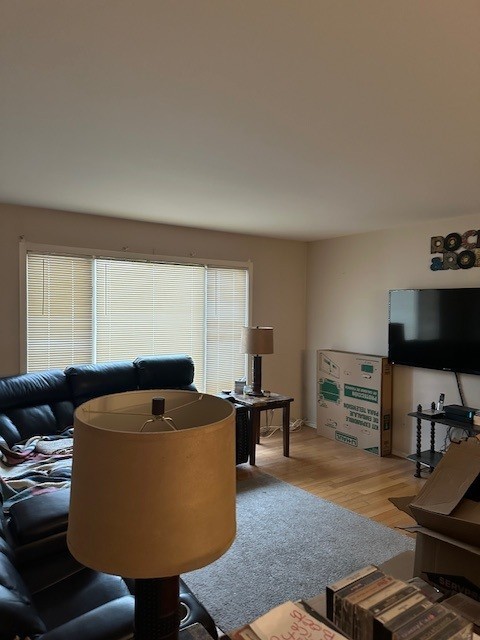 living room featuring light wood-type flooring