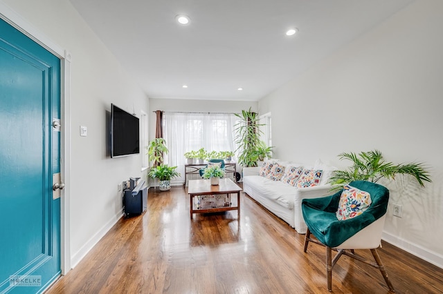 living room featuring hardwood / wood-style floors