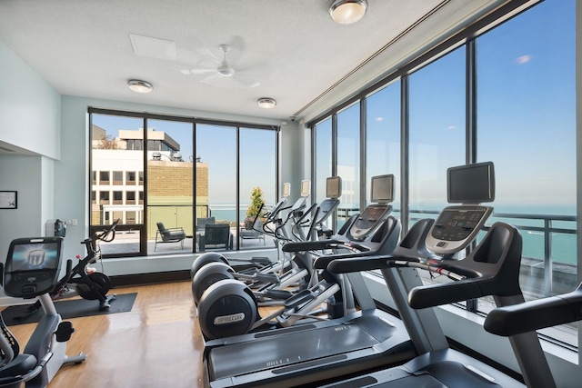 exercise room with ceiling fan and hardwood / wood-style flooring