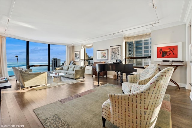 living room featuring a water view, a wall of windows, dark hardwood / wood-style floors, rail lighting, and crown molding