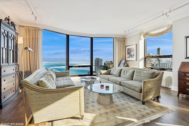 living room featuring dark wood-type flooring, ornamental molding, expansive windows, and a water view