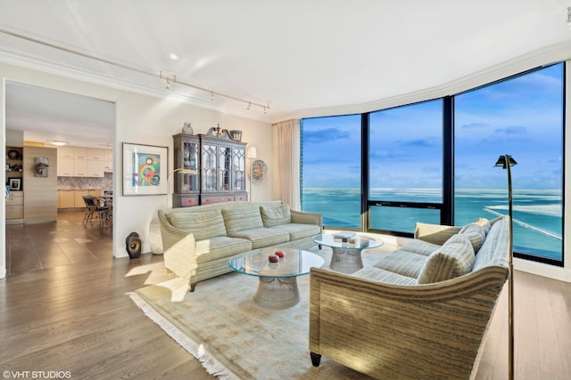 living room with plenty of natural light, rail lighting, wood-type flooring, and a water view