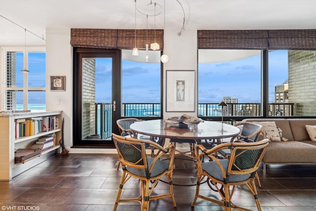 dining area featuring a healthy amount of sunlight