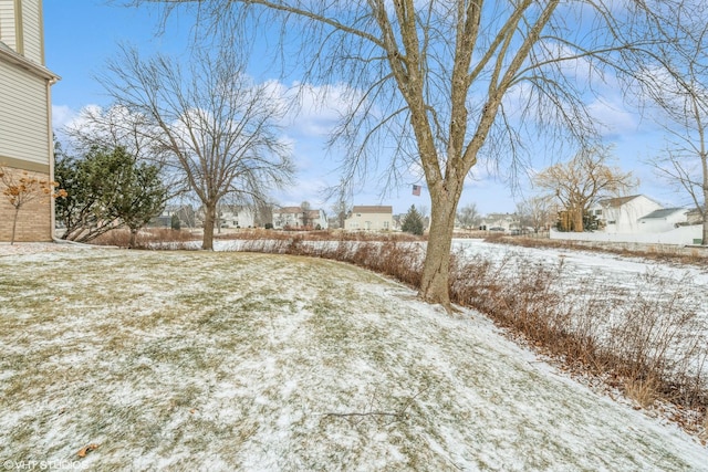 view of yard covered in snow