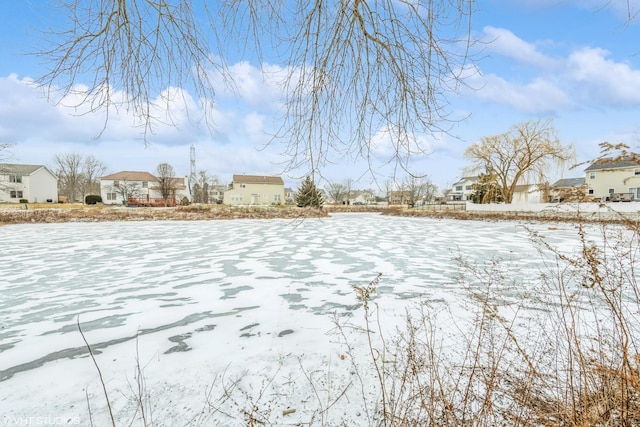 view of yard covered in snow