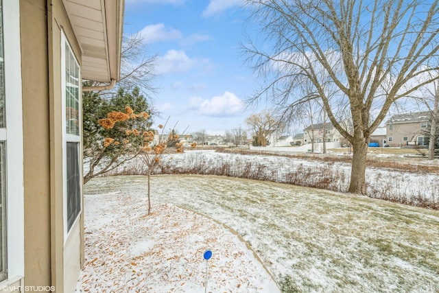 view of snowy yard