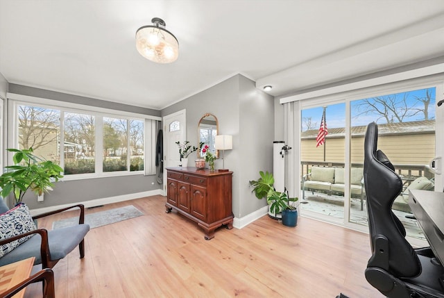 office featuring plenty of natural light, crown molding, and light hardwood / wood-style flooring