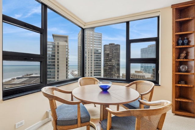 carpeted dining space featuring a wealth of natural light and a water view