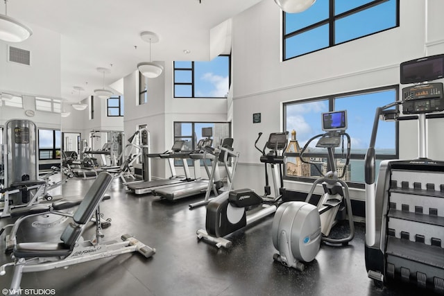 exercise room with a wealth of natural light and a towering ceiling