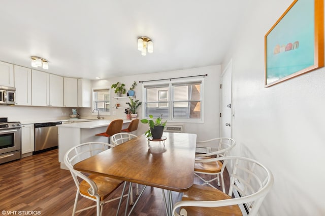 dining room featuring dark hardwood / wood-style floors and sink