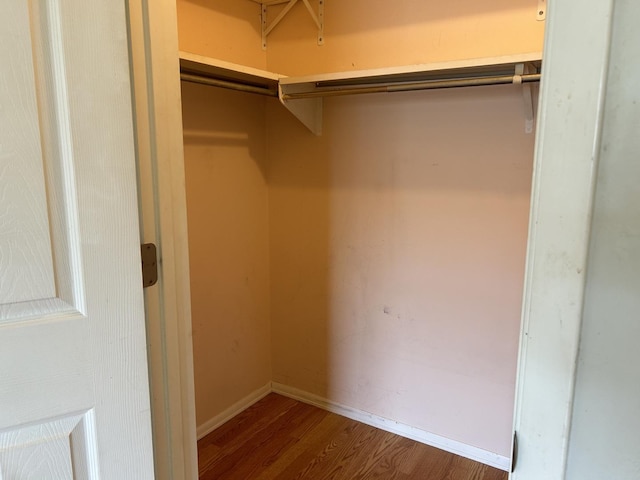 spacious closet featuring dark hardwood / wood-style flooring