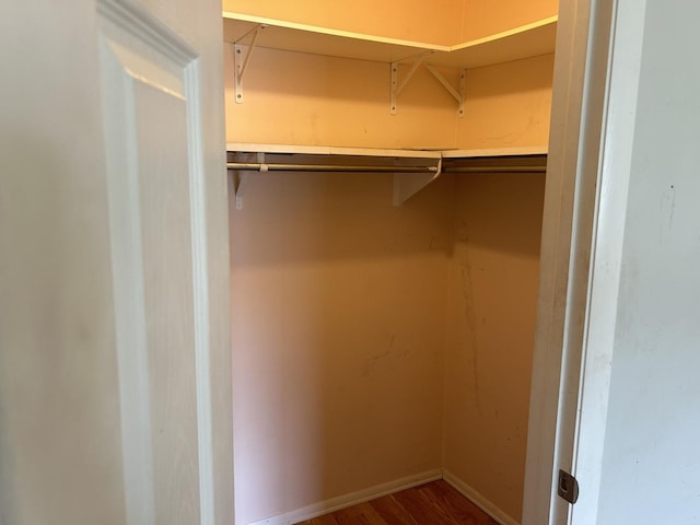 walk in closet with hardwood / wood-style flooring