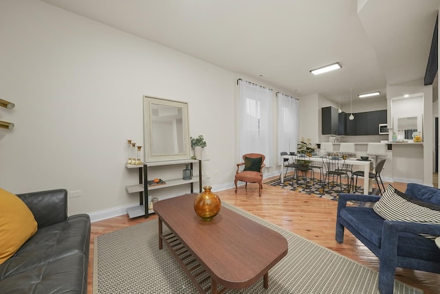 living room featuring hardwood / wood-style floors