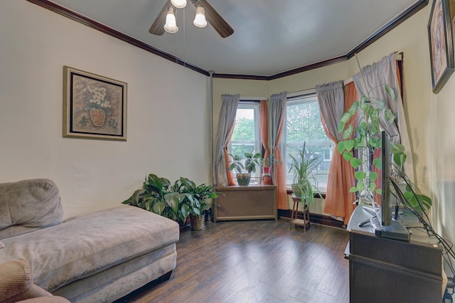 living room featuring dark hardwood / wood-style flooring, ceiling fan, and crown molding