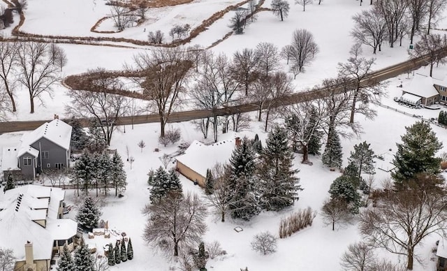 view of snowy aerial view