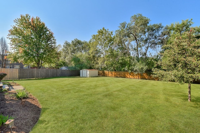 view of yard with a storage shed