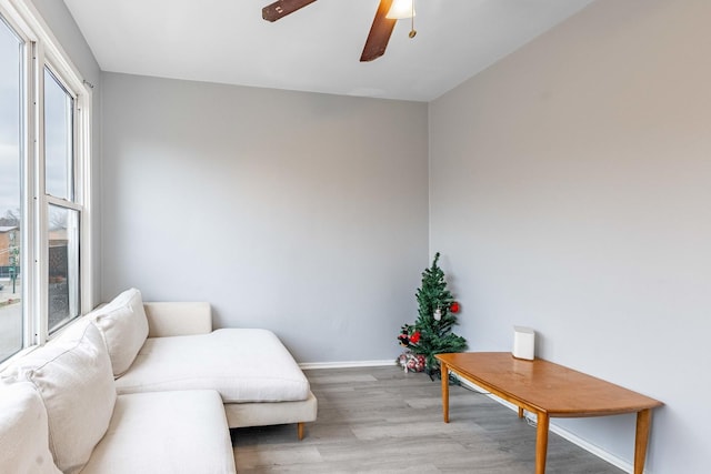 living area featuring ceiling fan and light hardwood / wood-style floors