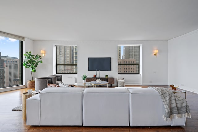 living room with hardwood / wood-style flooring and a wall of windows