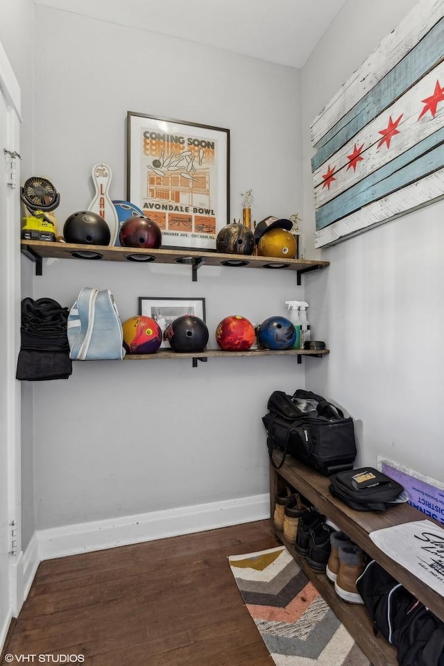 mudroom featuring dark hardwood / wood-style flooring