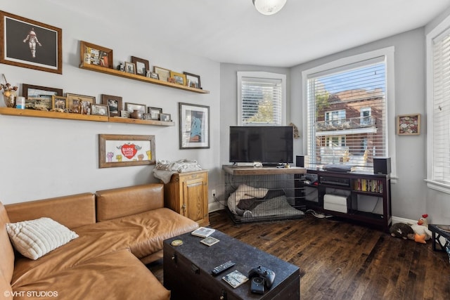 living room featuring dark wood-type flooring