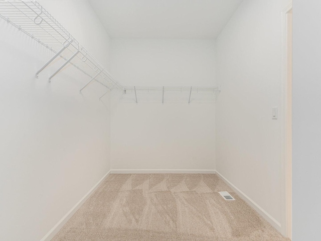 spacious closet featuring light carpet