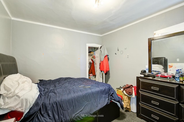 carpeted bedroom featuring a closet and crown molding