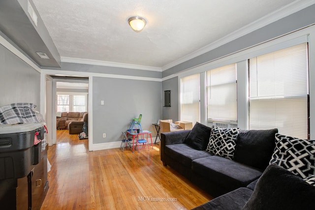 living room featuring crown molding, light hardwood / wood-style floors, and a textured ceiling