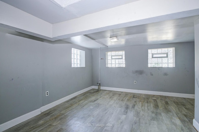 basement featuring hardwood / wood-style flooring