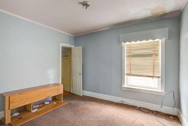 carpeted empty room featuring ornamental molding