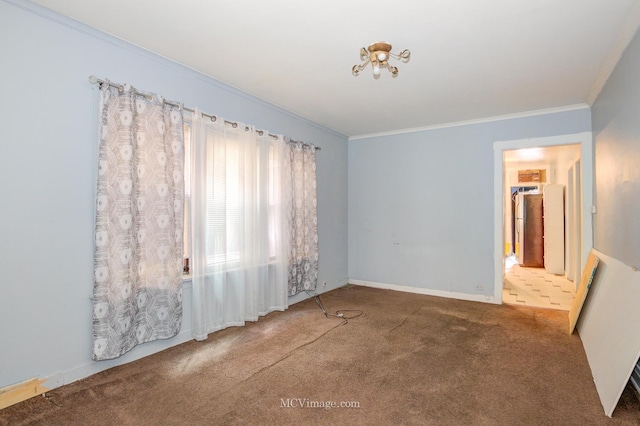 carpeted spare room with ornamental molding