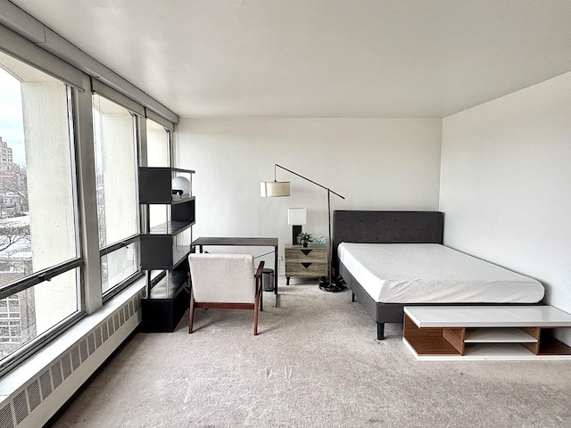 carpeted bedroom with radiator