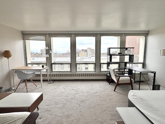 interior space with radiator heating unit and a wealth of natural light