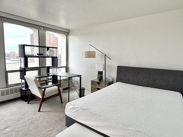 bedroom with carpet and radiator heating unit