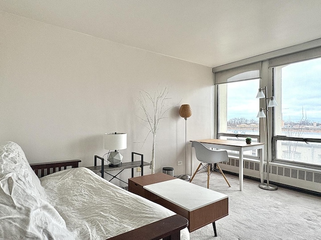 carpeted bedroom with radiator heating unit