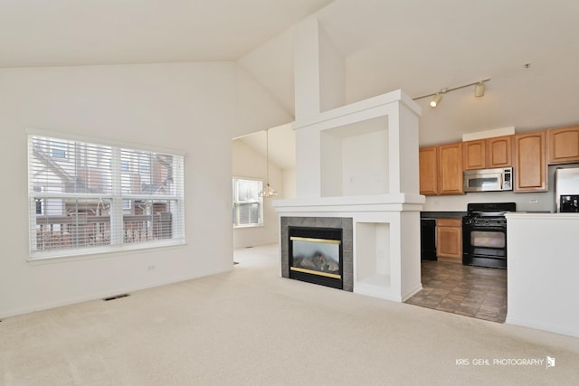 kitchen with light carpet, appliances with stainless steel finishes, track lighting, pendant lighting, and a fireplace