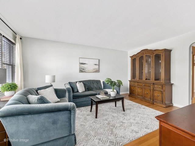 living room featuring light hardwood / wood-style flooring