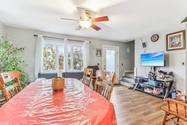 dining room with ceiling fan and light wood-type flooring