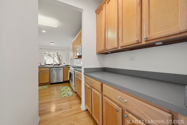 kitchen with light wood-type flooring, stainless steel appliances, and sink